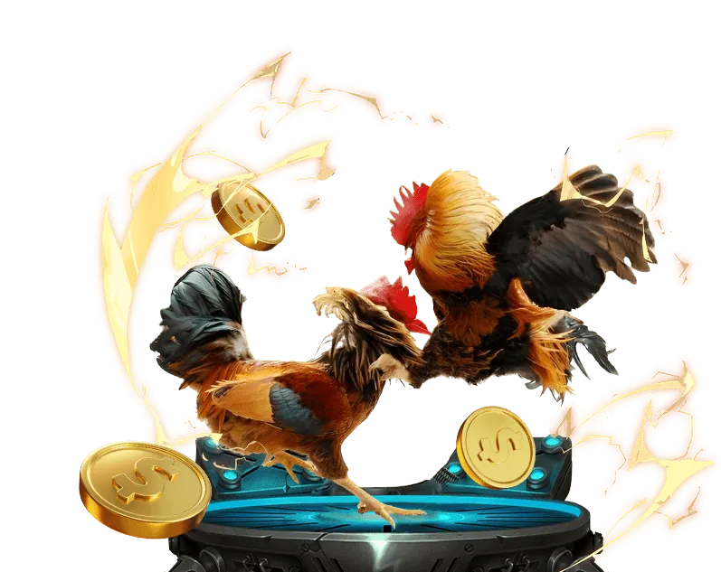 Hỗ trợ và tài nguyên